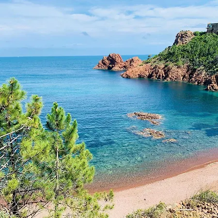 Petite Maison Pour 6 - Jardin Clim Piscine Parking Теуль-сюр-Мер