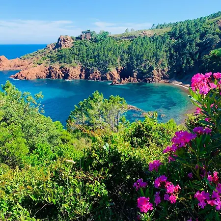 Petite Maison Pour 6 - Jardin Clim Piscine Parking