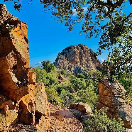 Апартаменты Petite Maison Pour 6 - Jardin Clim Piscine Parking *